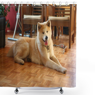 Personality  Akita Inu In The Flat Shower Curtains