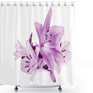 Personality  Lily On White Background Shower Curtains