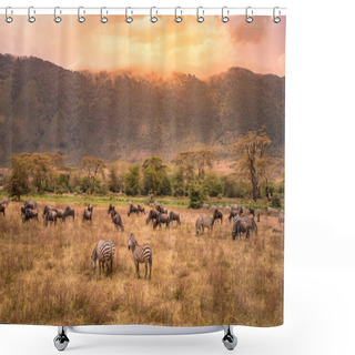 Personality  Landscape Of Ngorongoro Crater -  Herd Of Zebra And Wildebeests (also Known As Gnus) Grazing On Grassland  -  Wild Animals At Sunset - Ngorongoro Conservation Area, Tanzania, Africa Shower Curtains