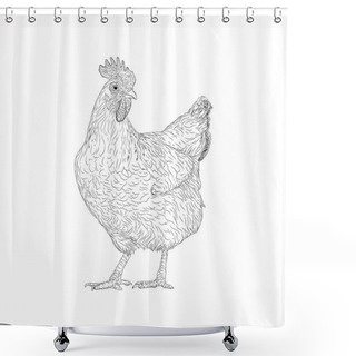 Personality  Hen Illustration, A Domestic Pet Animal Vector  Shower Curtains
