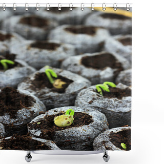 Personality  Seedlings Shower Curtains