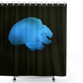 Personality  Blue Blubber Jellyfish With Blue Neon Light On Black Background Shower Curtains