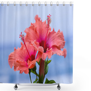 Personality  Peach And Pink Colored Hibiscus Flowers Shower Curtains