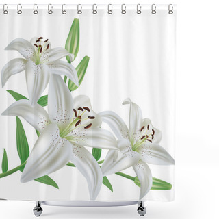 Personality  Flower Lily Isolated On White Background Shower Curtains