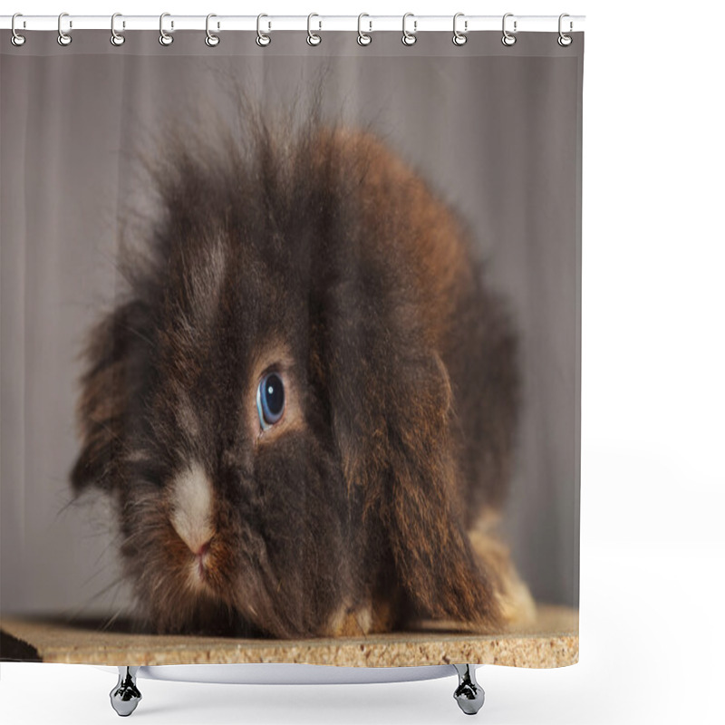 Personality  Picture Of A Cute Lion Head Rabbit Bunny Sitting Shower Curtains