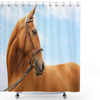 Personality  Head Shot Of A Chestnut Horse Against Blue Sky Background Shower Curtains