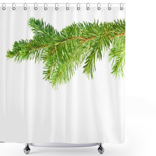 Personality  Evergreen Tree Branch Frame Isolated On White Background Shower Curtains
