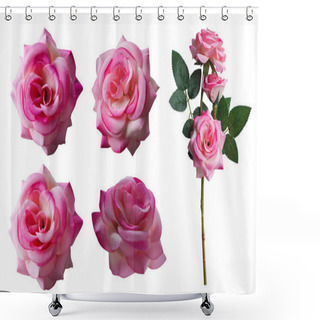 Personality  Four Pink Rose Flowers And Pink Rose Flowers Bouquet On White Background, Nature, Love, Valentine, Buddha Shower Curtains
