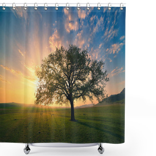 Personality  Magical Sunrise With Warm Sun Rays, Green Meadow And Big Tree Shower Curtains