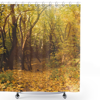 Personality  Beautiful Autumn Forest Shower Curtains