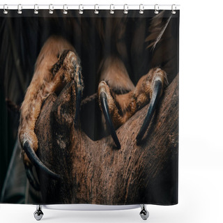 Personality  Close Up View Of Wild Owl Claws In Dark On Wooden Branch Isolated On Black Shower Curtains