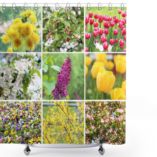 Personality  A Collection Of Nine Pictures Of Flowers Blossoming In Spring Shower Curtains