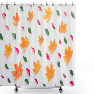 Personality  Set Of Different Leaves Isolated On White, Autumn Background Shower Curtains