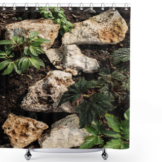 Personality  Green Foliar Plants And Natural Stones Shower Curtains