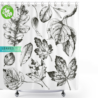 Personality  Leaves Shower Curtains