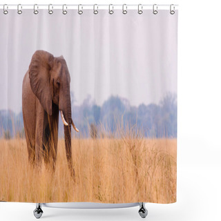 Personality  African Elephant Shower Curtains