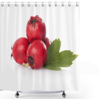 Personality  Herbal Medicine: Hawthorn Shower Curtains