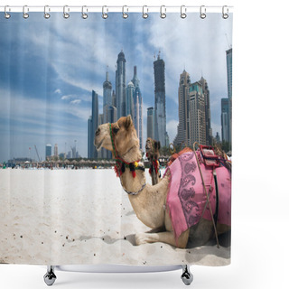 Personality  Camel. Shower Curtains