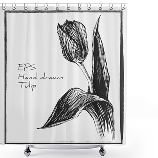 Personality  Hand Drawn Vintage Vector Tulip Illustration. Hand Drawn Ink Illustration Of Tulip Flower. Spring Tulip Flower Graphic. Black White Isolated Sketch. Shower Curtains