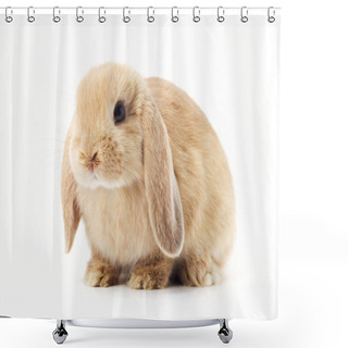 Personality  Rabbit Shower Curtains