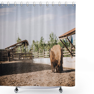 Personality  Front View Of Bison In Corral At Zoo Shower Curtains