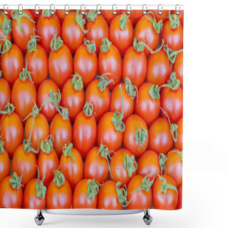 Personality  Group Of Fresh Tomatoes Shower Curtains