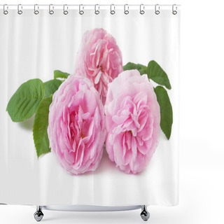 Personality  Beautiful Pink Rose Bunch  Shower Curtains