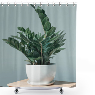 Personality  Potted Plant In Vase On Flower Stand Shower Curtains