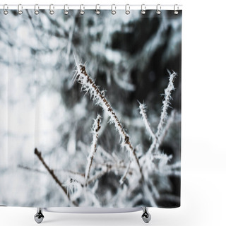 Personality  Close Up View Of Branches Of Tree Covered With Ice In Winter Shower Curtains