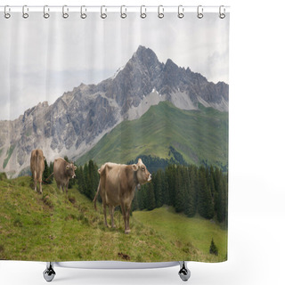 Personality  Cows In The Swiss Alps Shower Curtains