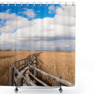 Personality  Walkway In A Cane Thicket Shower Curtains