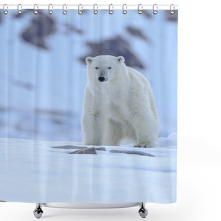 Personality  Polar Bear In The Snow Shower Curtains