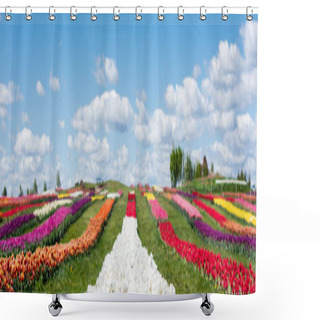 Personality  Colorful Tulips Field With Blue Sky And Clouds, Panoramic Shot Shower Curtains