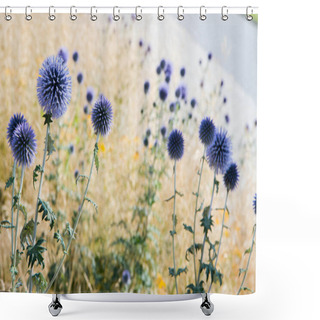 Personality  The Globe Thistles (Echinops) Plant Blooming Shower Curtains