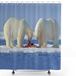 Personality  Bears Tearing Hunted Bloody Seal Shower Curtains