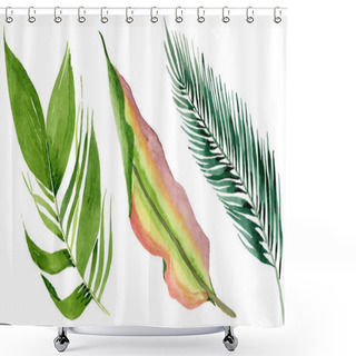 Personality  Palm Beach Tree Leaves Jungle Botanical. Watercolor Background Illustration Set. Isolated Leaves Illustration Element. Shower Curtains