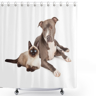 Personality  Pit Bull And Siamese Cat Shower Curtains