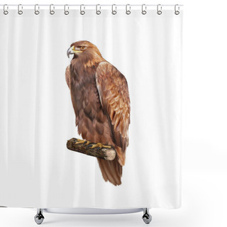 Personality  Golden Eagle Shower Curtains