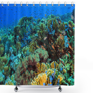 Personality  Coral Reef Shower Curtains