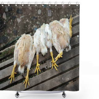 Personality  Chicken Farm, Shower Curtains