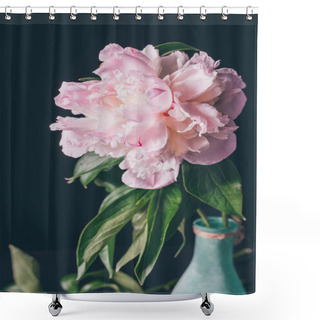 Personality  Big Light Pink Peony In Vase On Dark Background Shower Curtains