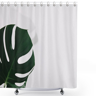 Personality  Close-up Shot Of Single Green Monstera Leaf On White Shower Curtains