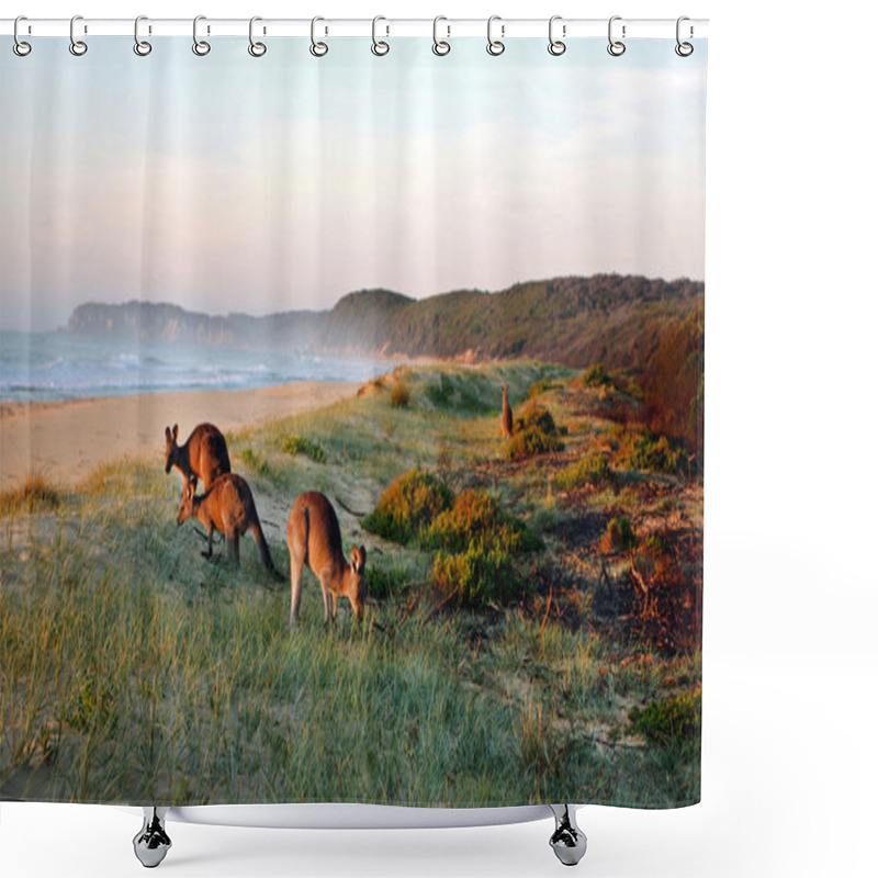 Personality  Kangaroos Grazing On The Beach Shower Curtains