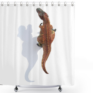 Personality  Top View Tyrannosaurus With Shadow On A White Background Shower Curtains