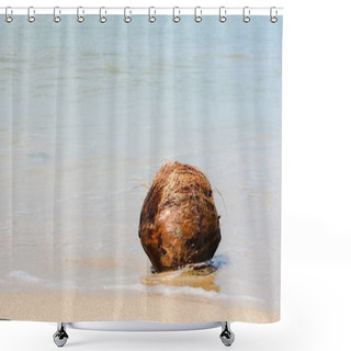 Personality  Coconut On The Sandy Beach Of Khao Lak Shower Curtains