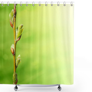 Personality  Green New Buds On Branch Shower Curtains