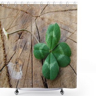 Personality  Luck - Four Leaves Clover Shower Curtains
