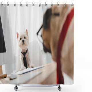 Personality  Business Dogs In Office Shower Curtains