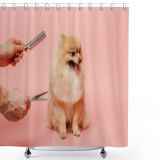 Personality  Cropped View Of Professional Groomer With Scissors And Comb Making Hairstyle To Pomeranian Spitz Dog On Pink Shower Curtains