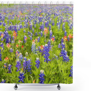 Personality  Bluebonnet And Indian Paintbrush Closeup In Ennis, Texas Shower Curtains